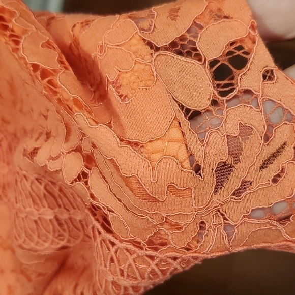 LACE SHEATH Orange Dress V neckline Size 14 - Picture 14 of 14